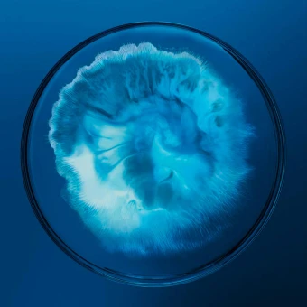 Biotherm Homme Force Supreme Black Mask 50 Ml – Bild 3