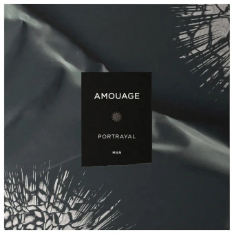 AMOUAGE Main Line Portrayal Man Eau De Parfum 100 Ml – Bild 3